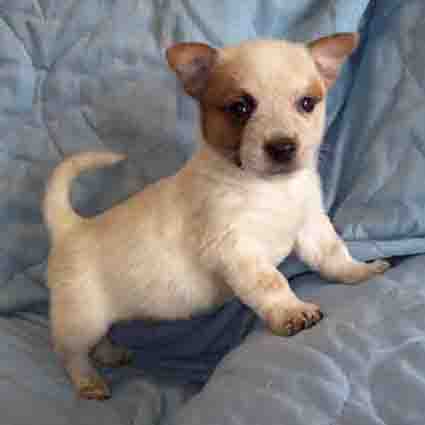 2015.01.07_ブチ