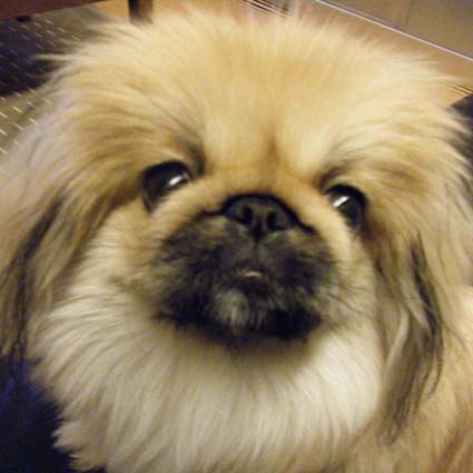 2015.02.05_みるく