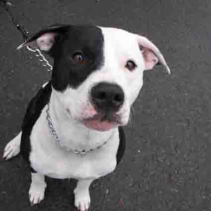 2015.02.01_イブ