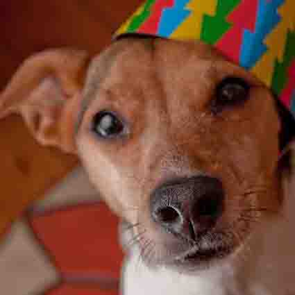 2015.03.05_カーター