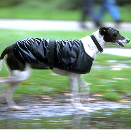 2015.01.26_パリス