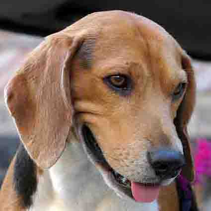 2015.01.25_ピース