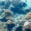teijiro handa｜美ら海水族館