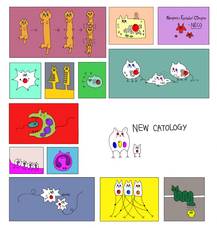 CATOLOGY