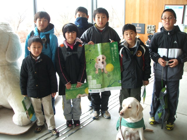 盲導犬と